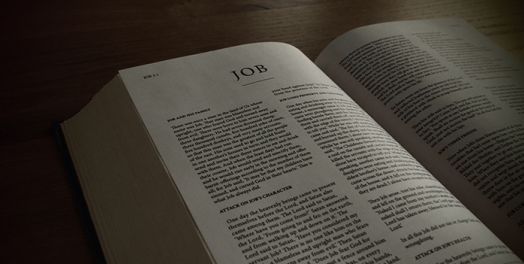 Job y el trabajo