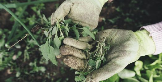 Por qué la gente no puede descansar: La naturaleza humana revelada en la Escritura hebrea