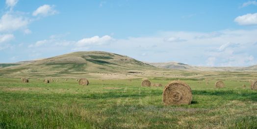 Abigail: Una esposa ezer en una hacienda salva a su familia del desastre (1 Samuel 25)