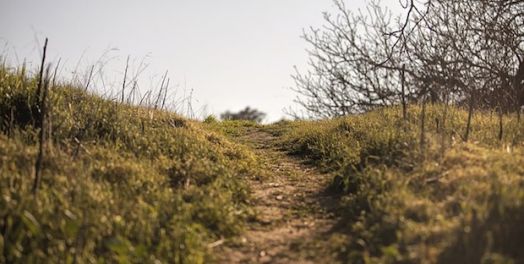 La guía de Dios en nuestro trabajo (Salmo 25)