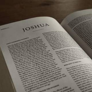 Josué Y Jueces Y El Trabajo Comentario Bíblico Proyecto