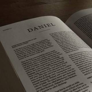 Daniel Y El Trabajo Comentario Biblico Proyecto Teologia Del